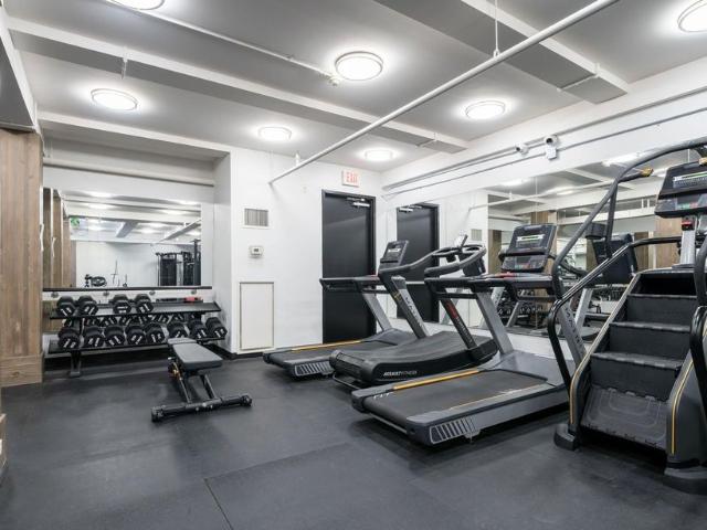 Apartment for rent in Spadina—Fort York, Toronto