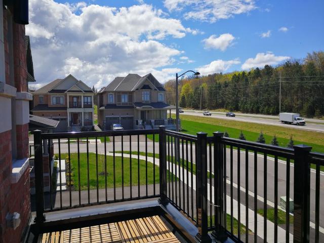 House for rent in York, Ontario