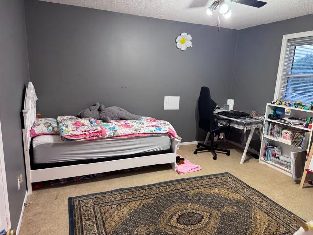 House for rent in York, Ontario
