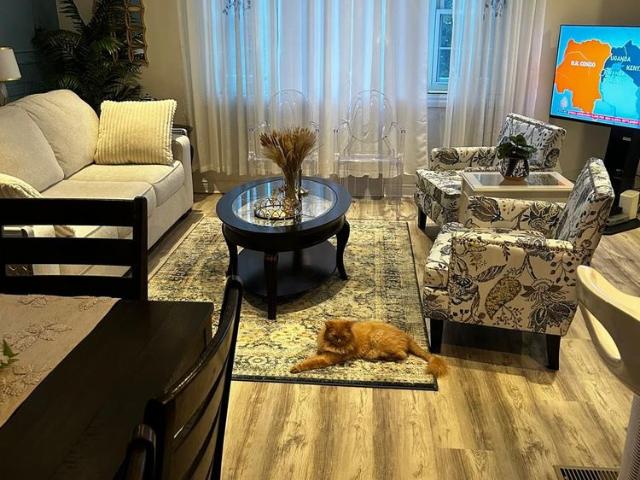 House for rent in Woburn, Ontario