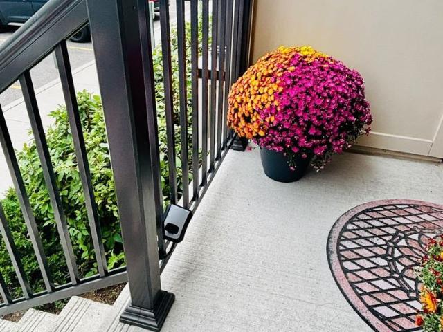 Apartment for rent in Central, Oshawa