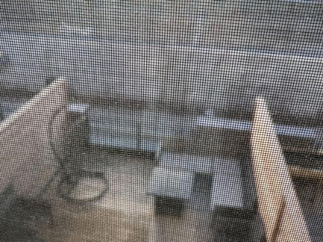 Townhouse for rent in Davenport, Toronto