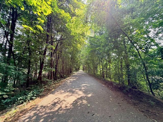 House for rent in Woburn, Ontario