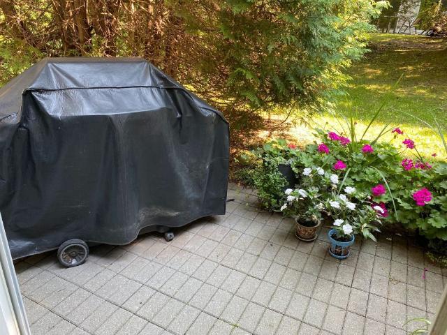 Apartment for rent in Collingwood, Central Ontario