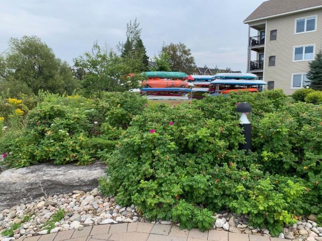 Apartment for rent in Collingwood, Ontario