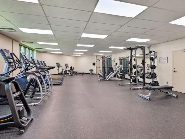 Apartment for rent in York, Ontario