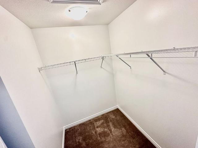 House for rent in Caledonia, Ontario