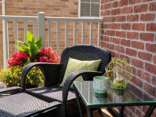 House for rent in York, Ontario