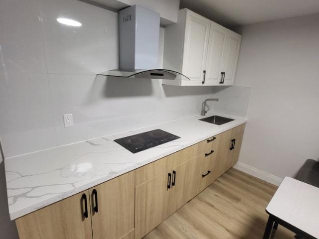 House for rent in Niagara Falls, Golden Horseshoe