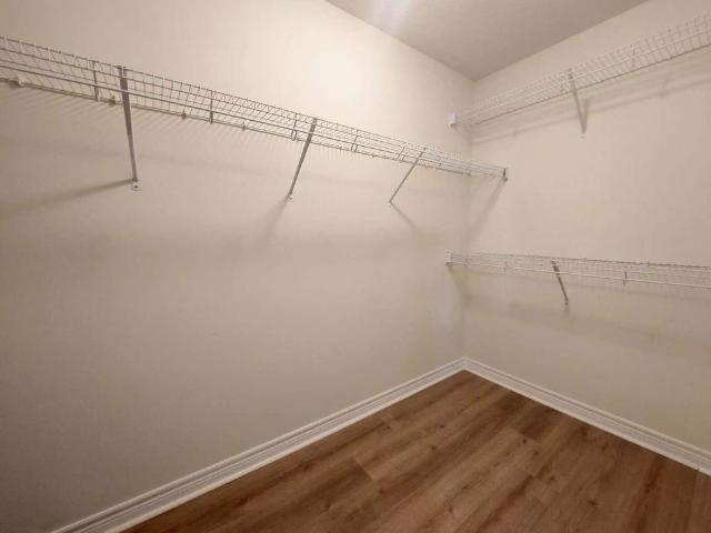 House for rent in York, Ontario