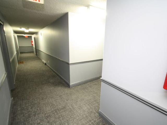 Apartment for rent in Springwater, Ontario