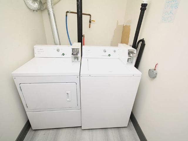 Apartment for rent in Springwater, Ontario