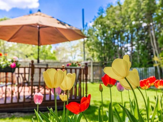 House for rent in Woburn, Ontario