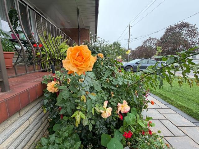 Apartment for rent in Don Valley North, Toronto