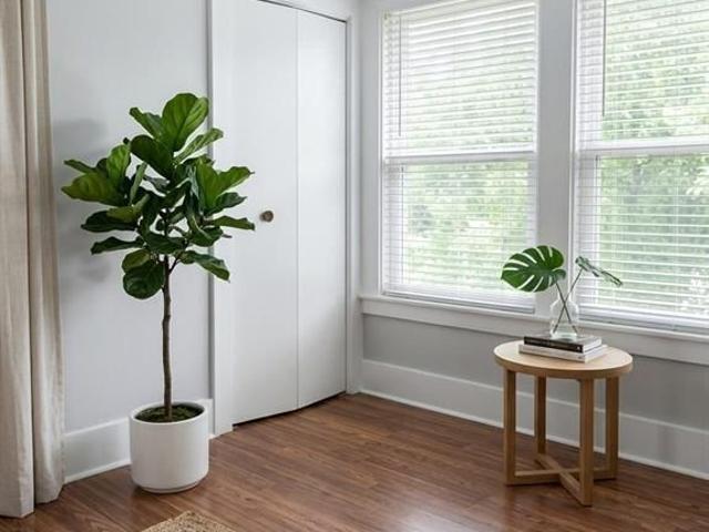 Apartment for rent in Maidstone, Ontario
