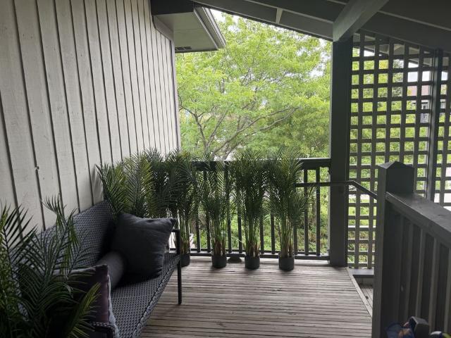 Apartment for rent in Collingwood, Ontario
