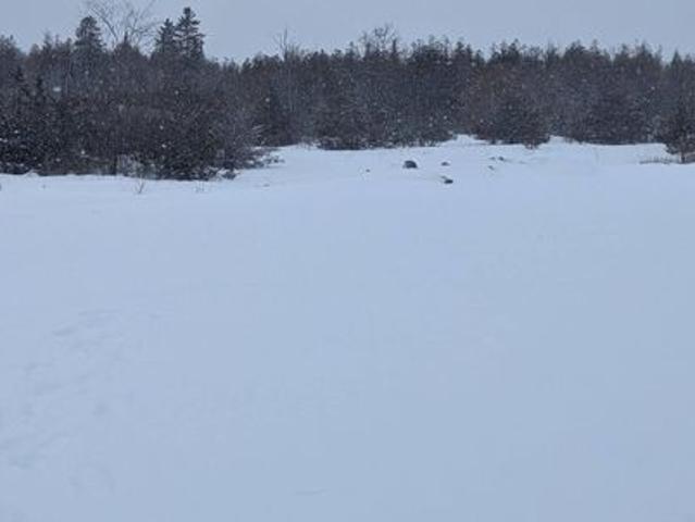 House for rent in Loyalist, Ontario