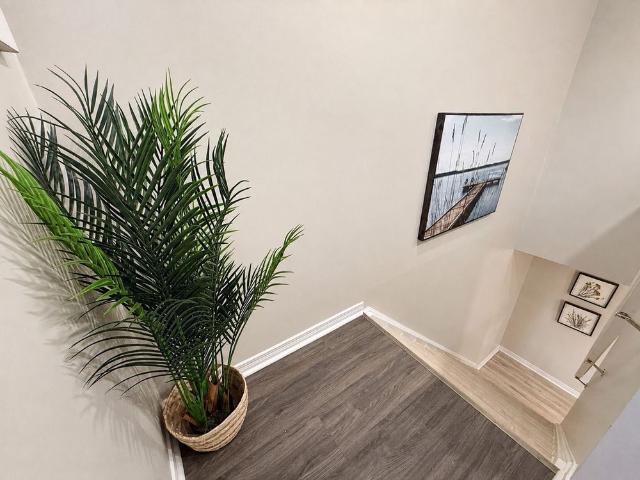 House for rent in Centreville Chicopee, Kitchener