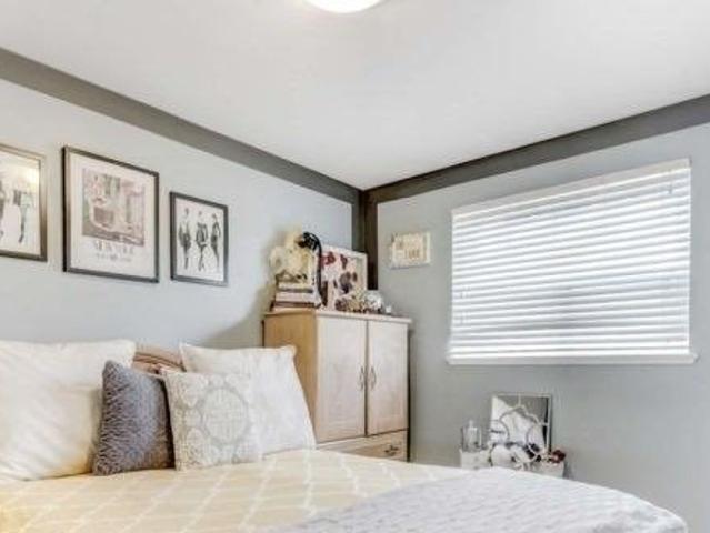 House for rent in Woburn, Ontario