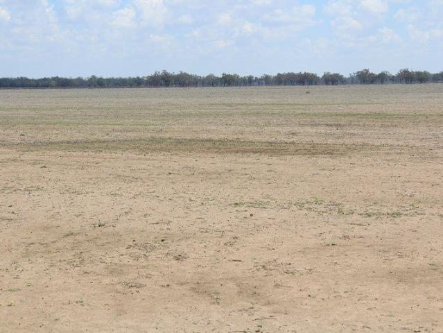Cottage for sale in Moree, New South Wales