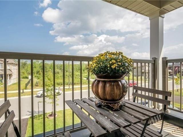 House for rent in York, Ontario