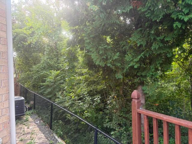 House for rent in York, Ontario