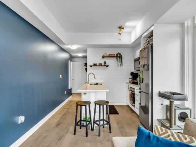 Apartment for rent in Little Italy, Ottawa