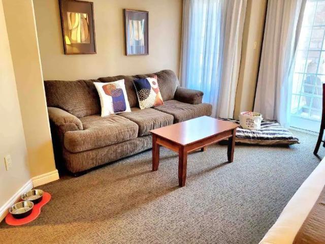 Apartment for rent in Oro-Medonte, Central Ontario