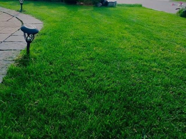 Room for rent in York, Ontario