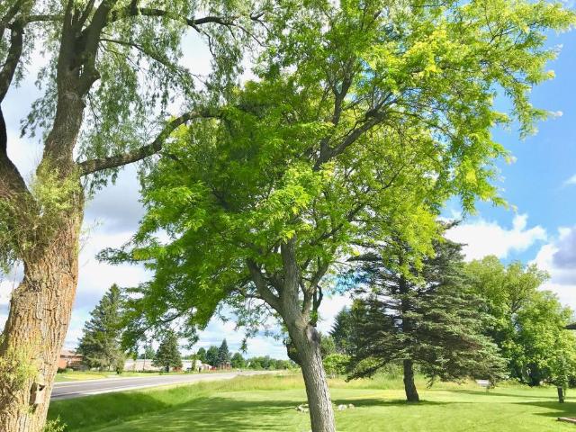 House for rent in Parham, Central Frontenac