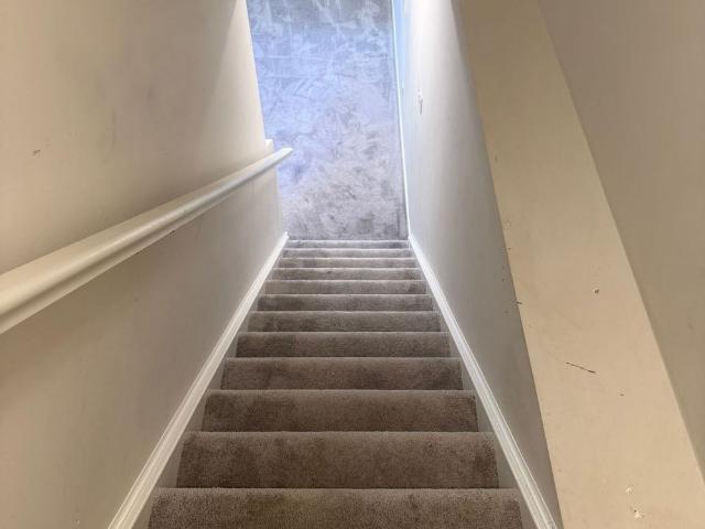 Apartment for rent in Arva, Ontario