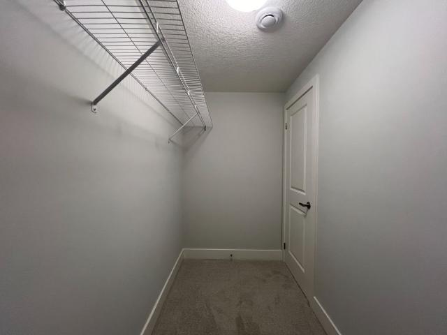 Apartment for rent in Arva, Ontario
