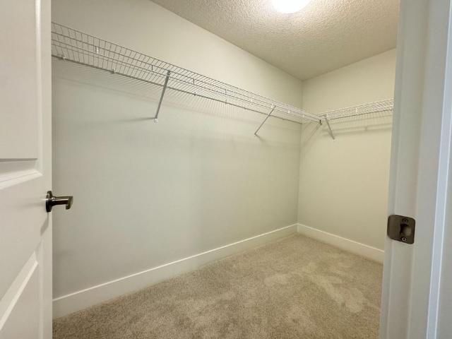 Apartment for rent in London, Southwestern Ontario