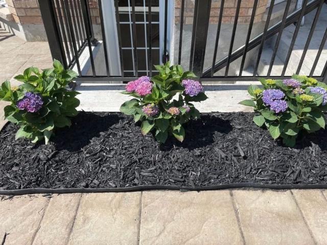 Apartment for rent in Durham, Ontario