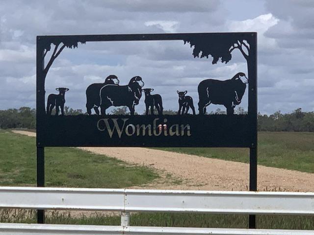 Cottage for rent in Collarenebri, New South Wales