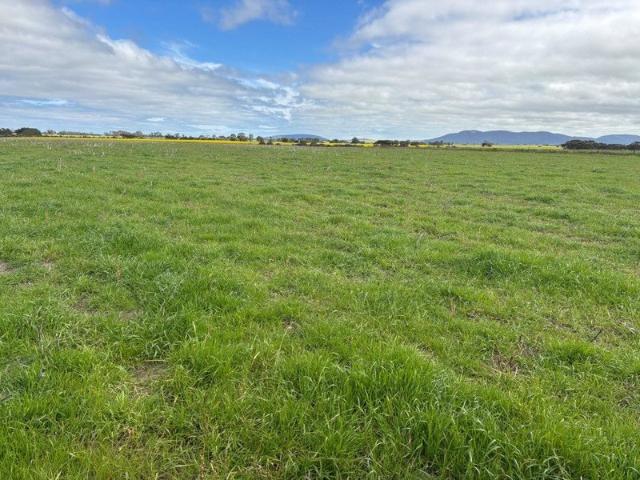 Land for sale in Wanilla, South Australia