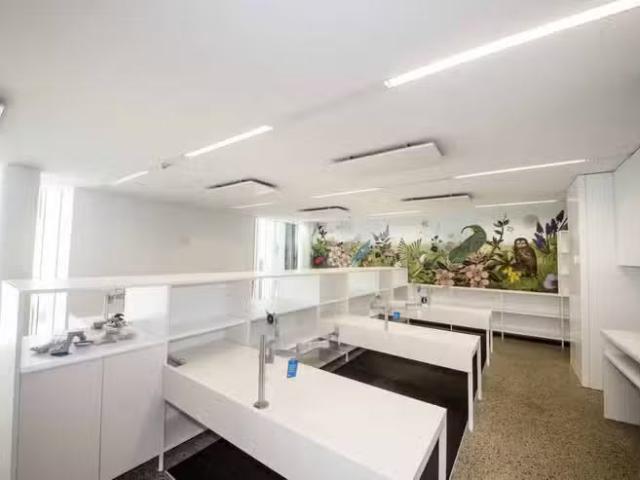 House for rent in Auckland, Oroua County