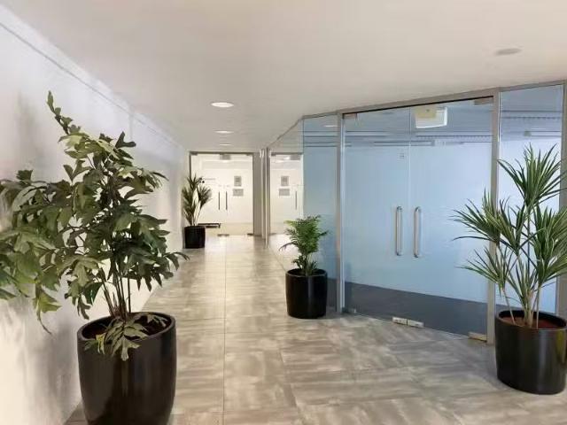 House for rent in Omokoroa, Bay Of Plenty