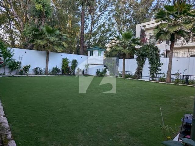 House for rent in Islamabad