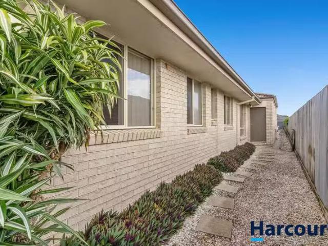 House for rent in Cumbalum, New South Wales