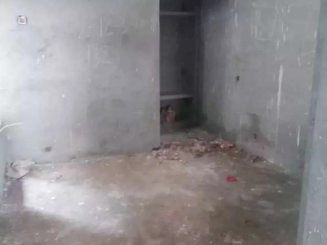 House for rent in Miana Pura, سیالکوٹ