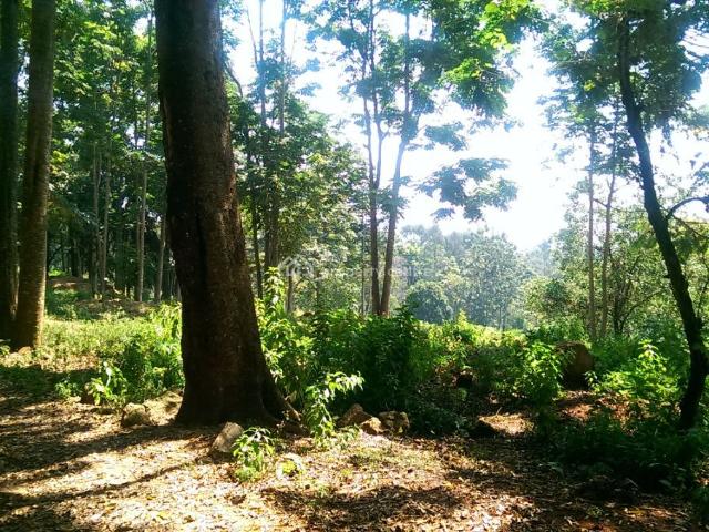 Land for rent in Westlands, Nairobi