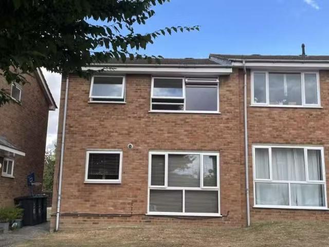 House for rent