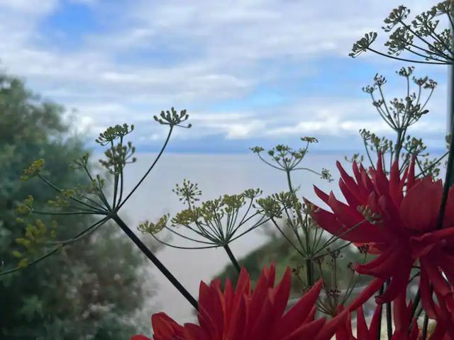 Apartment for rent in Clevedon, North Somerset