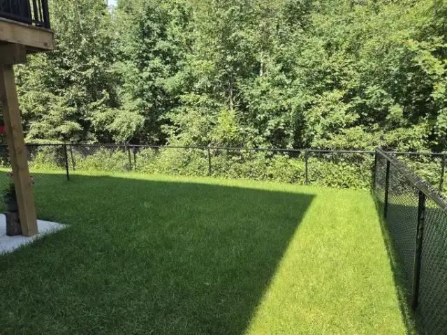 Apartment for rent in Wedgewood, Alberta
