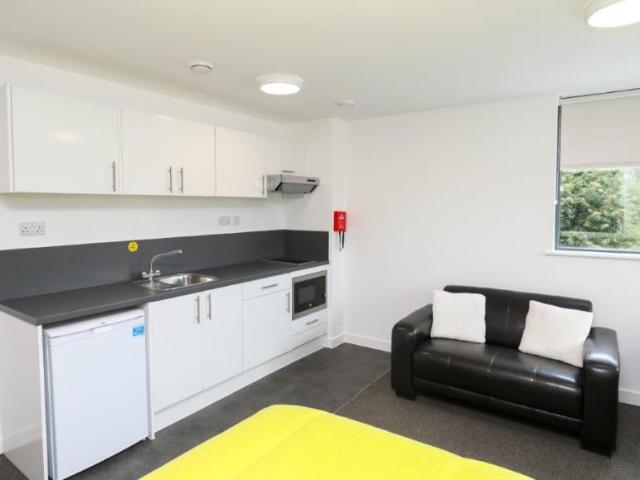 Apartment for rent in Calthorpe Fields, West Midlands
