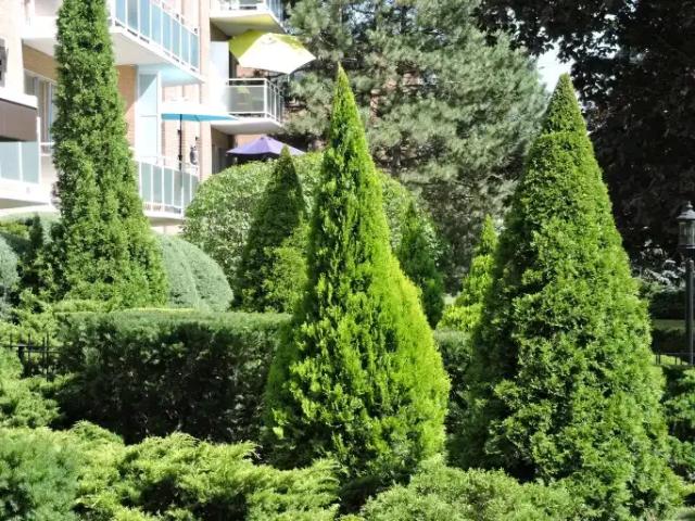 Apartment for rent in Mississauga, Ontario