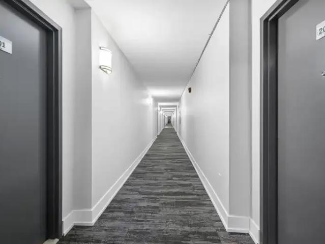 Apartment for rent in York, Ontario