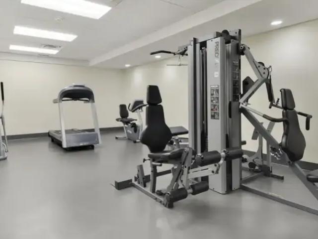 Apartment for rent in Vancouver, British Columbia