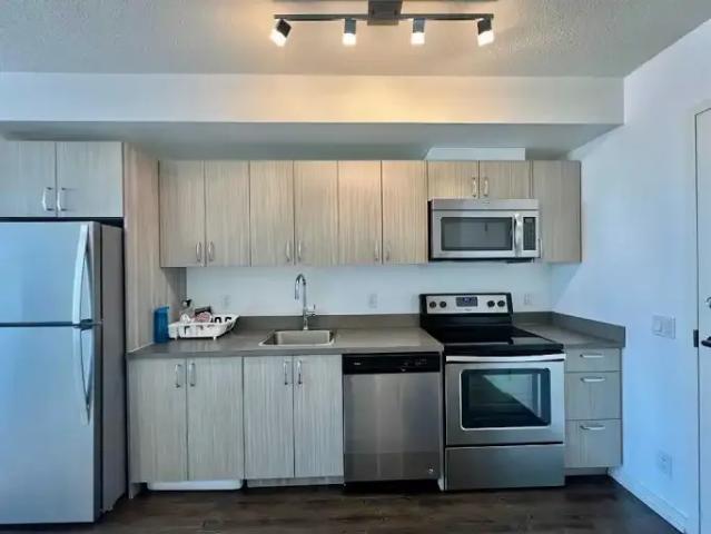 Condo for rent in Downtown East Village, Calgary